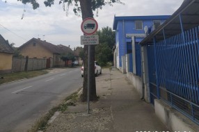 Neorezano drvo na javnoj površini na uglu Beogradskog puta i Blaška Rajića