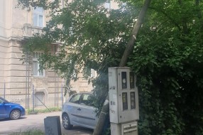 Slomljena drvena bandera kod MESŠC-a