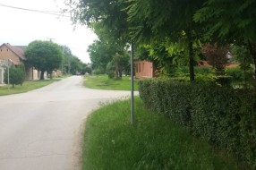Znak stop - ne vidi se (ugao Stevana Mokranjca i Augusta Cesarca)
