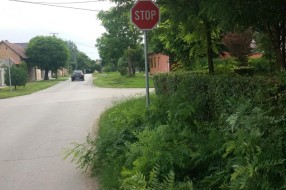 Znak stop - ne vidi se (ugao Stevana Mokranjca i Augusta Cesarca)
