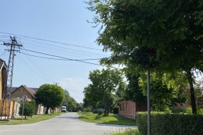 Znak stop - ne vidi se (ugao Stevana Mokranjca i Augusta Cesarca)