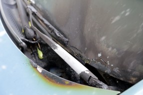 Zapaljeni automobili - Teslino (problematično) naselje