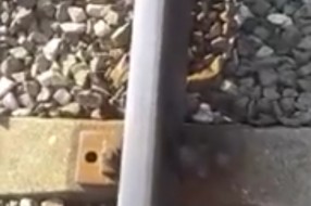 Sve manje šarafa na Peštanskoj pruzi