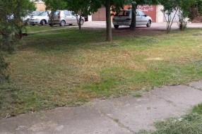 Visoka trava u Kireškoj ulici
