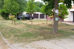Visoka trava u Kireškoj ulici