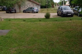 Visoka trava u Kireškoj ulici