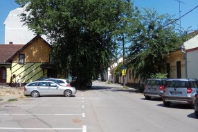 Kada Čistoća i zelenilo (ne) radi posao za koji su plaćeni