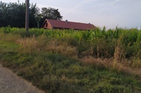 Trava i korov na stazi u ulici Frana Supila