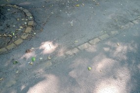 Horizontalne oznake na parking mestima (dovode u zabludu)