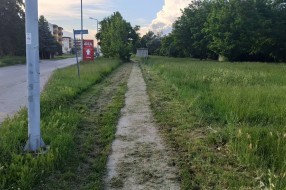 Visoka trava pored jedine pešačke staze u ulici Partizanskih baza