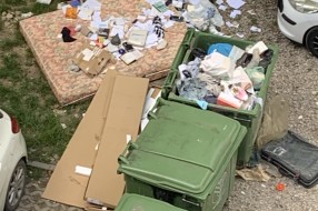 Deponija u nastajanju u centru grada (Ulica Sonja Marinković)