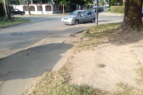 Propao trotoar (zbog korenja drveta) u Zetskoj ulici