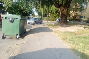 Propao trotoar (zbog korenja drveta) u Zetskoj ulici