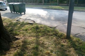 Propao trotoar (zbog korenja drveta) u Zetskoj ulici