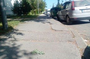 Propao trotoar (zbog korenja drveta) u Zetskoj ulici