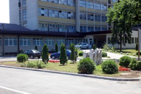 Psi lutalice u krugu Gradske bolnice