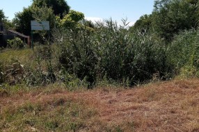 Košenje trave na Jasibari
