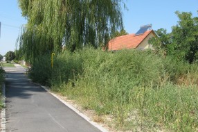 Zarasla biciklistička staza i visoka trava pored samog međunarodnog puta