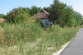 Zarasla biciklistička staza i visoka trava pored samog međunarodnog puta