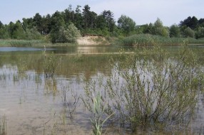 Majdansko jezero skoro pa presušilo