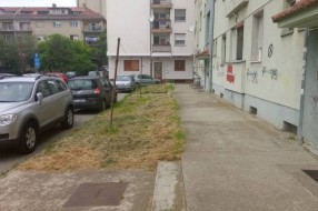 Visoka trava u naselju Tokio