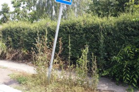 Neodržavanje obdaništa u MZ Mali Bajmok