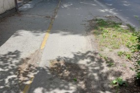 Rupa na biciklističkoj stazi na Segedinskom putu