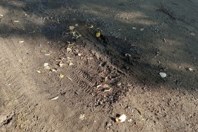 Udarne rupe u Omladinskoj ulici, višegodišnji problemi sa rasvetom