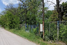 Ogranak vodovoda u Kozaračkoj ulici zarastao u rastinje