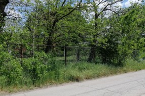 Ogranak vodovoda u Kozaračkoj ulici zarastao u rastinje