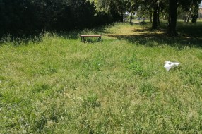 Visoka trava u Bikovu