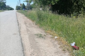 Visoka trava u Bikovu