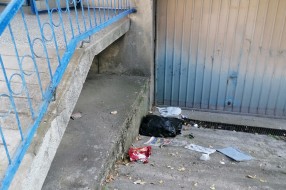 Potrebno dugoročno rešenje za higijenu na uglu Čarnojevićeve i Šumske ulice