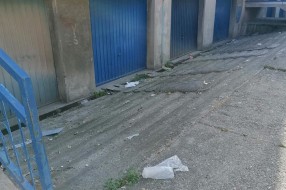 Potrebno dugoročno rešenje za higijenu na uglu Čarnojevićeve i Šumske ulice