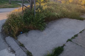 Nepregledna raskrsnica na uglu Skenderbegove I Gundulićeve ulice (rastinje)