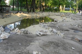 Panjevi u Dudovoj šumi