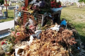 Zapušteno pravoslavno groblje u Dudovoj šumi