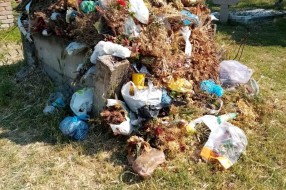 Zapušteno pravoslavno groblje u Dudovoj šumi
