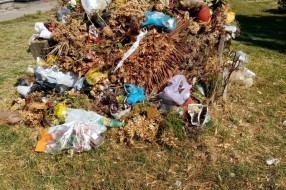 Zapušteno pravoslavno groblje u Dudovoj šumi