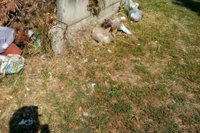 Zapušteno pravoslavno groblje u Dudovoj šumi