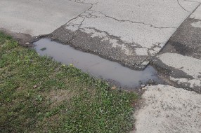 Udarne rupe, loše stanje kolovoza i nepreglednost u Ulici Laze Mamužića