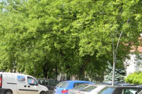 Javna garaža