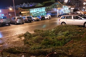 Prodaja jelki na parkingu na Prozivci