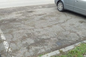 Prodaja jelki na parkingu na Prozivci