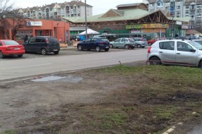Prodaja jelki na parkingu na Prozivci
