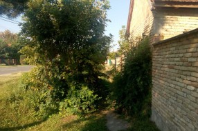 Veliko ruglo pred buvljakom (Velebitska ulica)