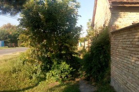 Veliko ruglo pred buvljakom (Velebitska ulica)