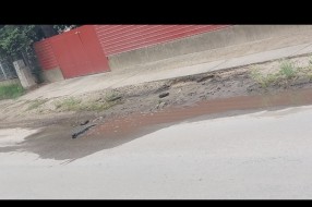 Udarna rupa na Majšanskom putu