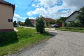 Bujno zelenilo, a "šahta" i dalje otvorena (ugao Petefi Šandora i Žabnjaka, Bajmok)