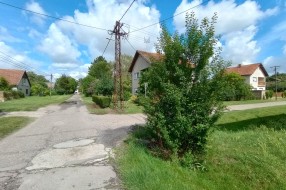 Bujno zelenilo, a "šahta" i dalje otvorena (ugao Petefi Šandora i Žabnjaka, Bajmok)